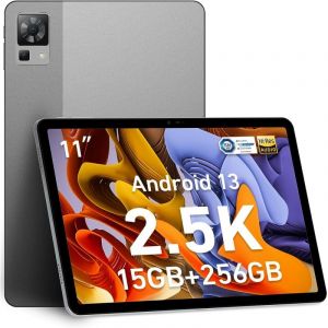 Doogee T30 Pro 2023 11" 4G 8/256Go Gris