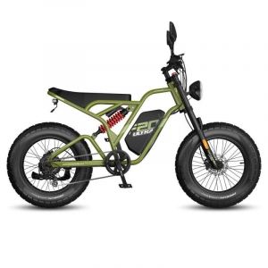 V&eacute;lo &eacute;lectrique Fafrees F20 Ultra 750W 48V25Ah 20 pouces Vert