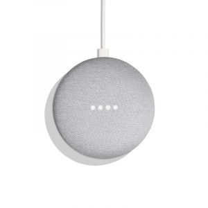 Google Home Mini Enceinte Intelligente et Assistant Gris