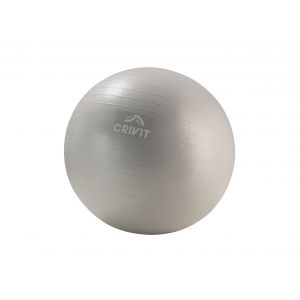 CRIVIT Plateau d&rsquo;&eacute;quilibre ou ballon de gymnastique ou bandes de fitness (ballon d'exercice souple 65cm)