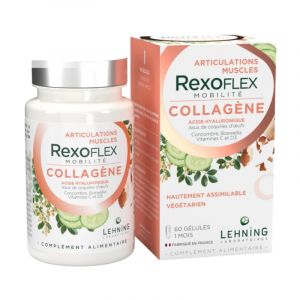 Lehning Rexoflex Mobilit&eacute; 60 g&eacute;lules