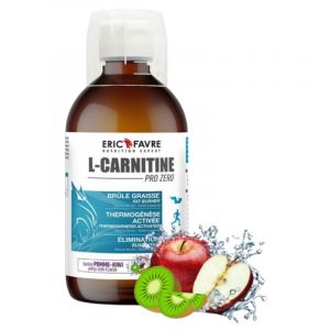 Eric Favre L-Carnitine Pro Zero Pomme - Kiwi 500 ml