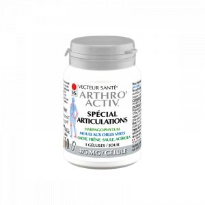 Vecteur santé Arthro'Activ Harpago 60 gélules