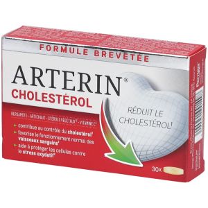 Arterin Cholest&eacute;rol