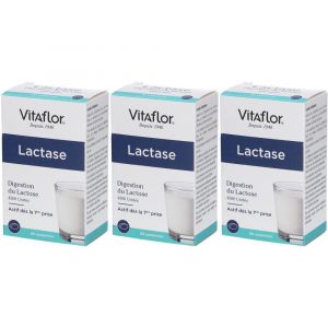 Vitaflor&reg; Bouillet Nutrition Lactase