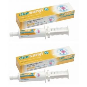 Diarsanyl+ P&acirc;te orale grand chien Seringue