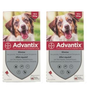 Advantix Chien moyen de 10 kg - 25 kg