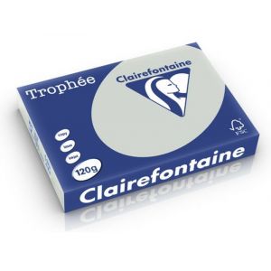 Clairefontaine Gris clair A4 Papier couleur 120 g/m² (250 feuilles)