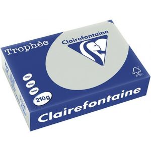 Clairefontaine Gris clair A4 Papier couleur 210 g/m² (250 feuilles)