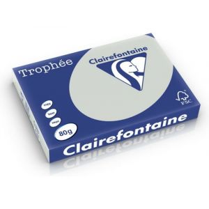 Clairefontaine Gris clair A4 Papier couleur 80 g/m² (500 feuilles)