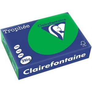 Clairefontaine Vert Billard Papier couleur A4 210 g/m² (250 feuilles)