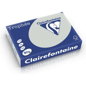 Clairefontaine Gris clair A4 Papier couleur 80 g/m² (500 feuilles)