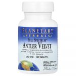 Planetary Herbals, Bois de velours Full Spectrum&trade;, 30 comprim&eacute;s (250 mg par comprim&eacute;)