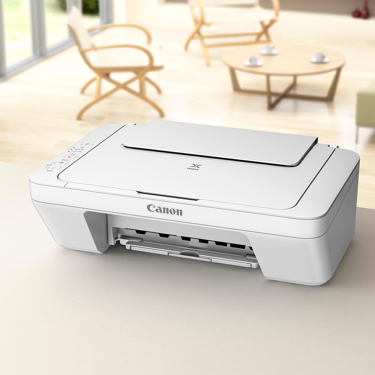 Canon Pixma MG2550 - Imprimante Multifonctions couleur jet ...
